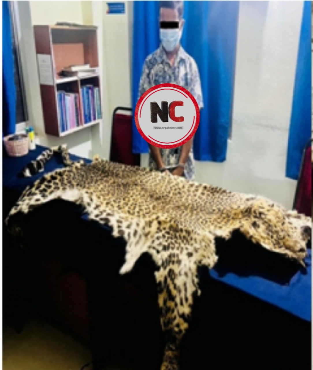 चितुवाको छालासहित एक जना पक्राउ