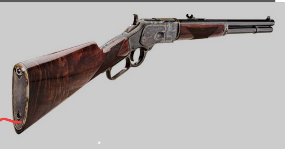 भरुवा बन्दुक सहित पक्राउ