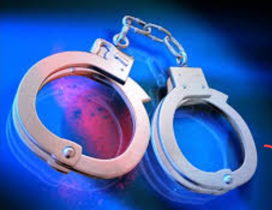 प्रहरीले ठूलो मात्रामा लागूऔषधसहित कारोबारी पक्राउ