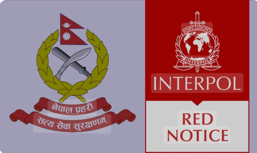 इन्टरपोलबाट ‘रेड नोटिस’ जारी भएका तीन जना फरार अभियुक्त दुबईबाट पक्राउ