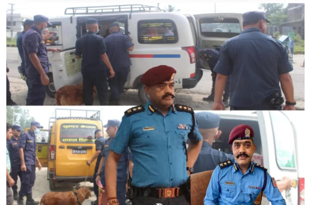 पर्सामा तालिम प्राप्त कुकुर सहितको चेकिङ