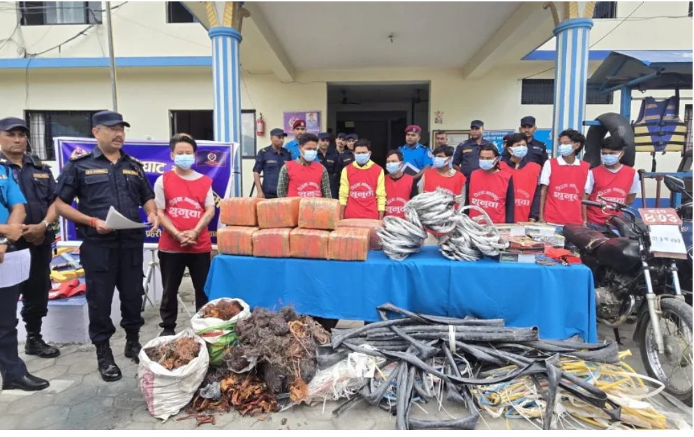 मकवानपुरमा ८ जना पक्राउ