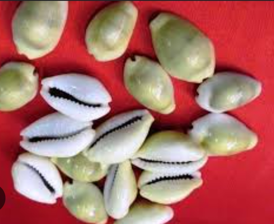 कौडा खेल्ने १७ जना पक्राउ