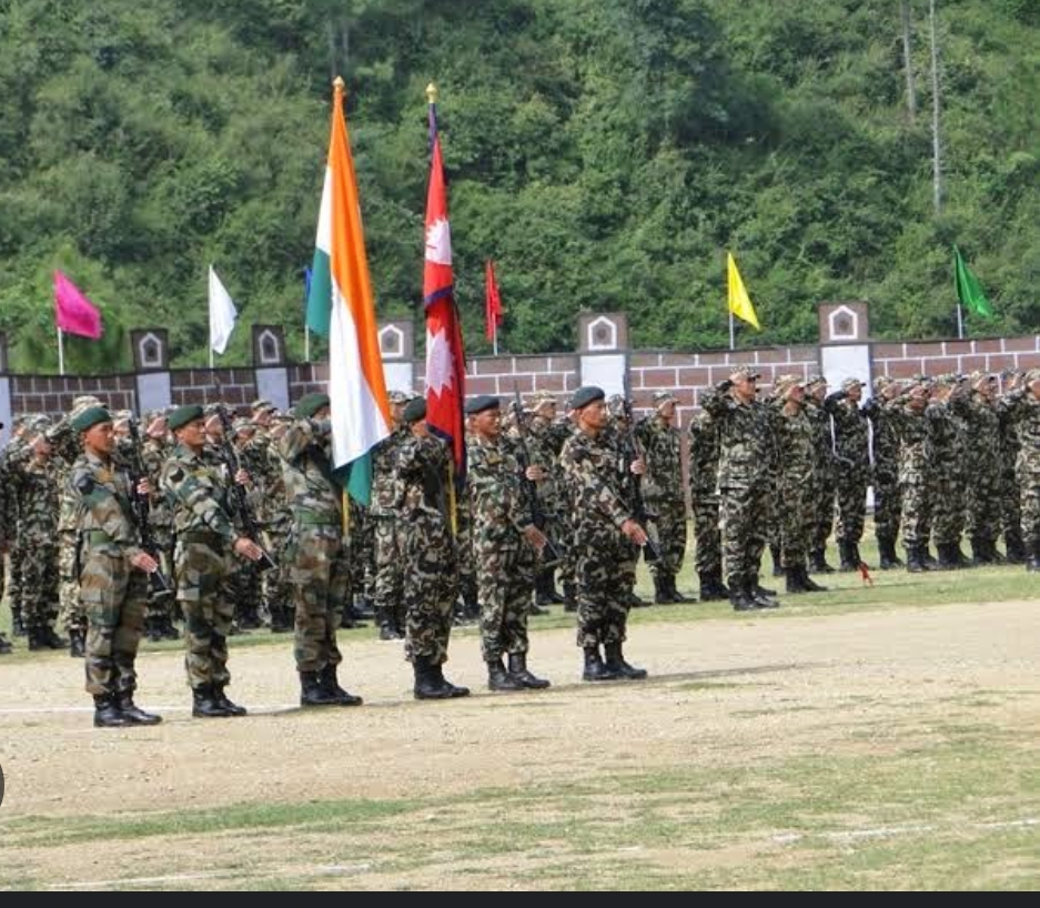 झापामा नेपाल–भारत अन्तर्राष्ट्रिय सीमास्तम्भ मर्मत कार्य सुरु