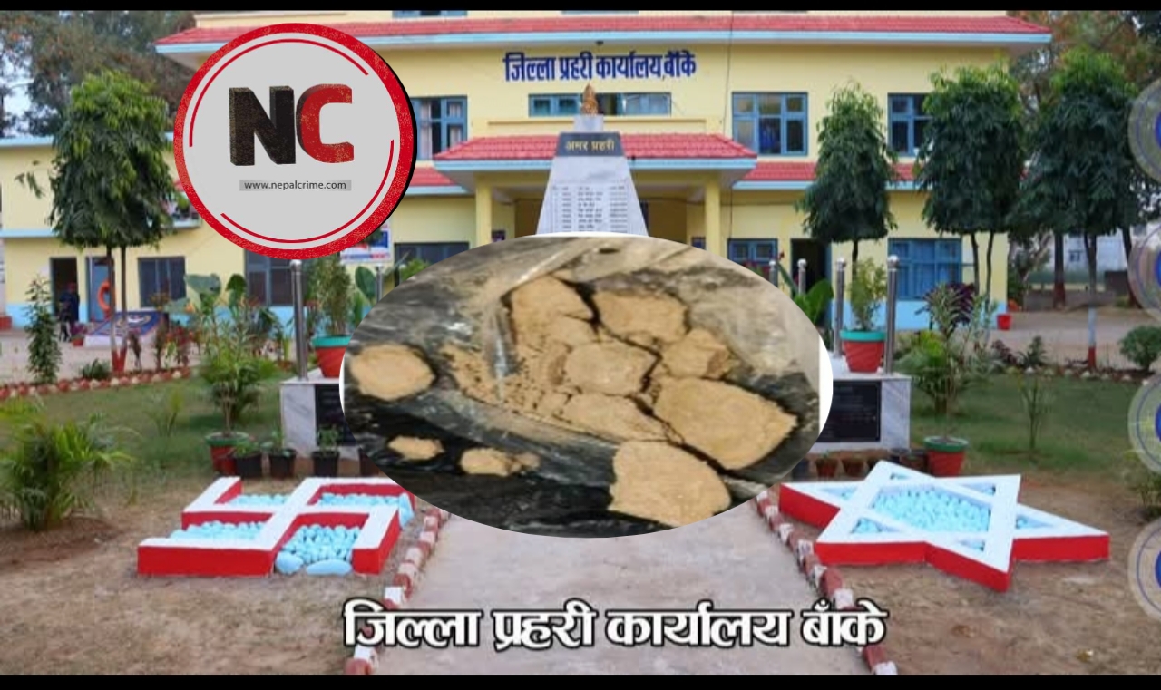 ११ ग्राम ४७० मिलिग्राम ब्राउन सुगर सहित दुई जना बाँकेमा पक्राउ