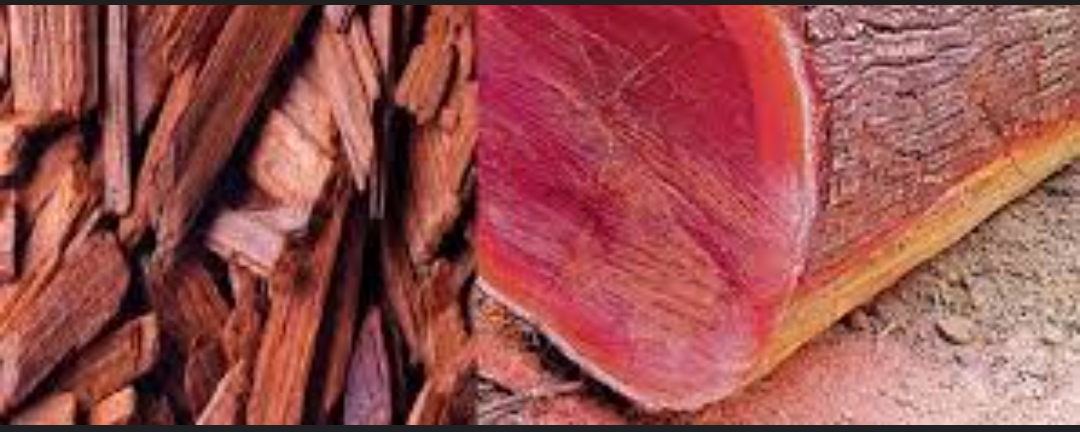 काठमाडौँको काँडाघारीबाट  ठुलाे परिमाणमा रक्तचन्दन  बरामद