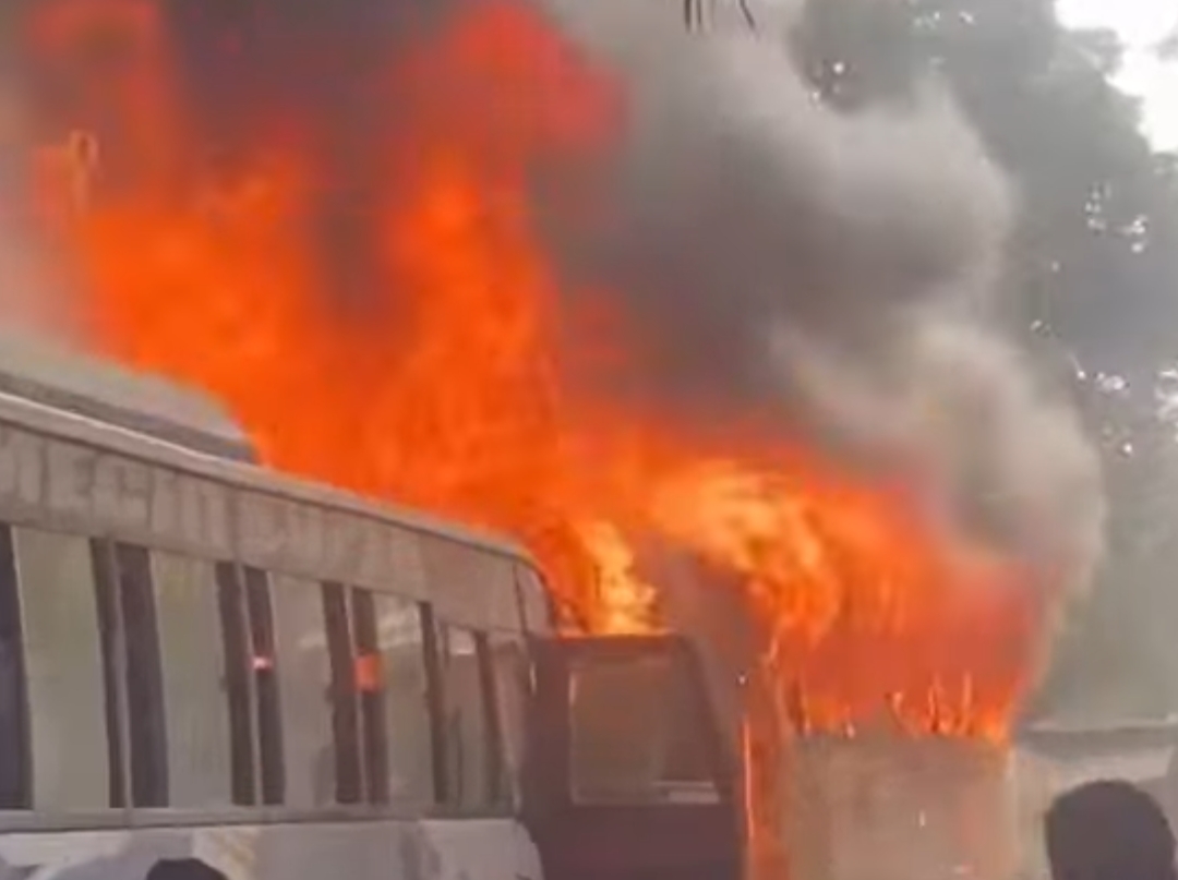 विर्तामोडस्थित एक ग्यारेजमा आगलागी हुँदा तीनवटा बसमा क्षति