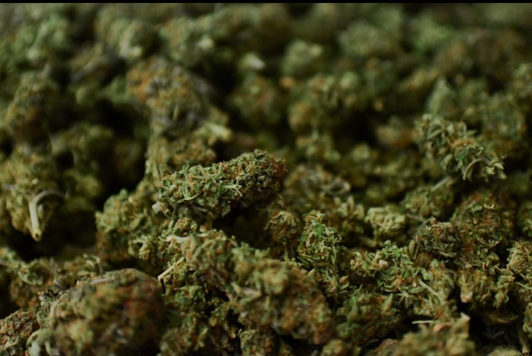 बर्वाबाट १९५ किलो अवैध लागुऔषध गाँजासहित पक्राउ