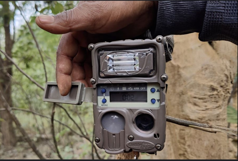 बाघ खोज्न बाँकेमा  क्यामेरा जडान