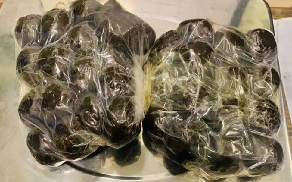 ठूलो परिमाणमा चरेशसहित महिला  पक्राउ