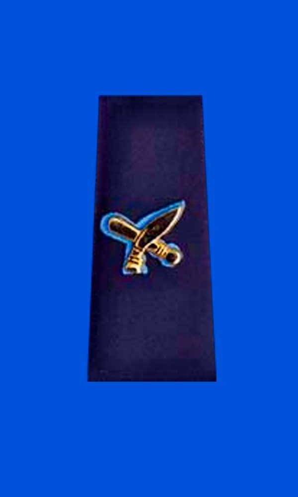 इन्स्पेक्टर लोकबहादुर विष्ट नक्कली शैक्षिक प्रमाणपत्रको आरोपमा दोषी ठहर