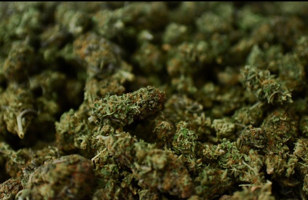 बरसाइन नगरपालिका–३ स्थित हुलाकी राजमार्गबाट सात सय २६ केजी गाँजा बरामद