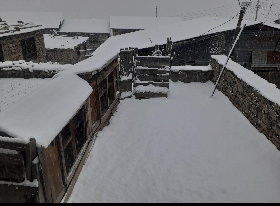 ढोरपाटनमा यस वर्ष पहिलो पटक हिमपात