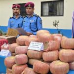 Websoft IT Nepal Pvt. Ltd.