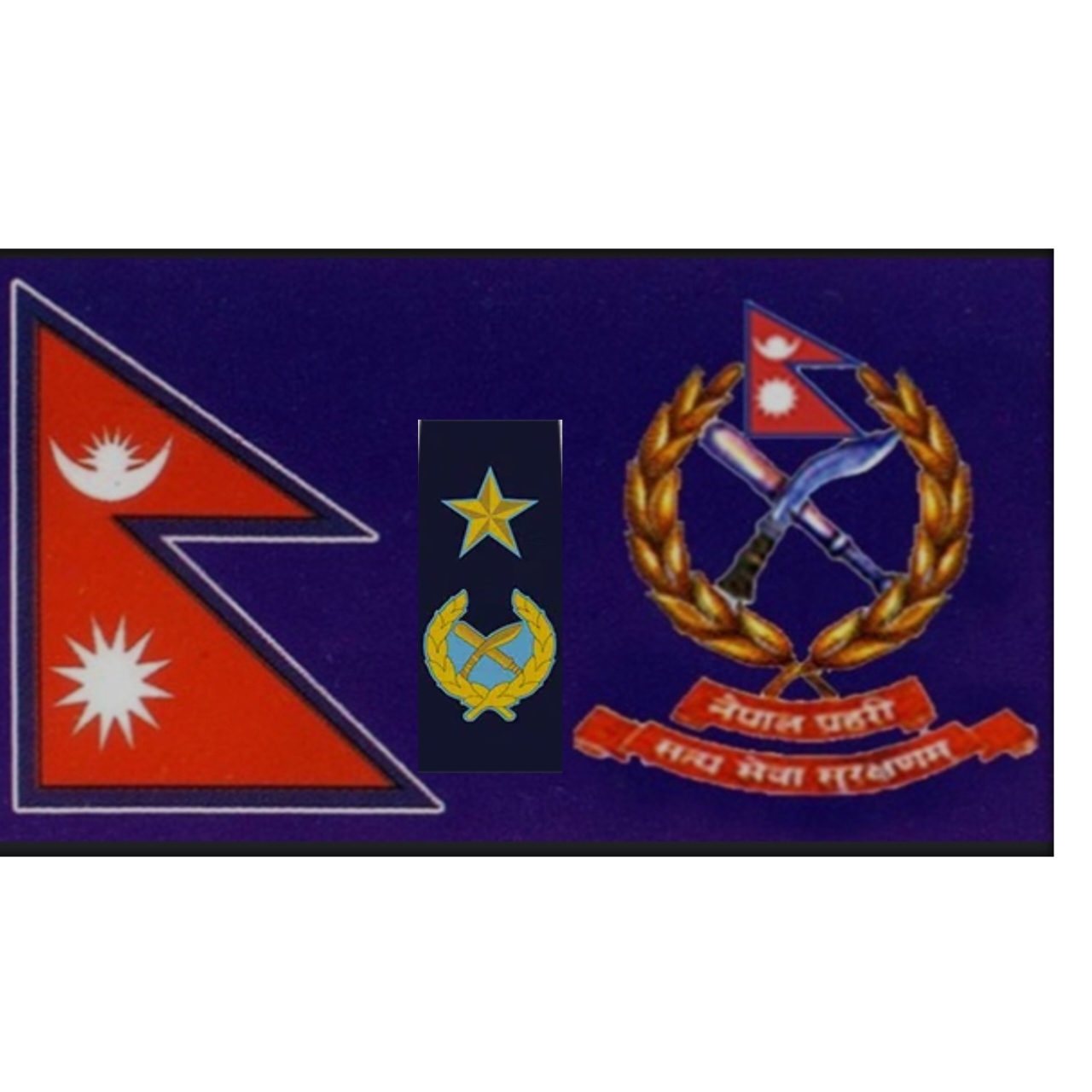 ६ एआईजीका लागि दौडधुप,प्रदेशहरु ट्वाइसीको भरमा