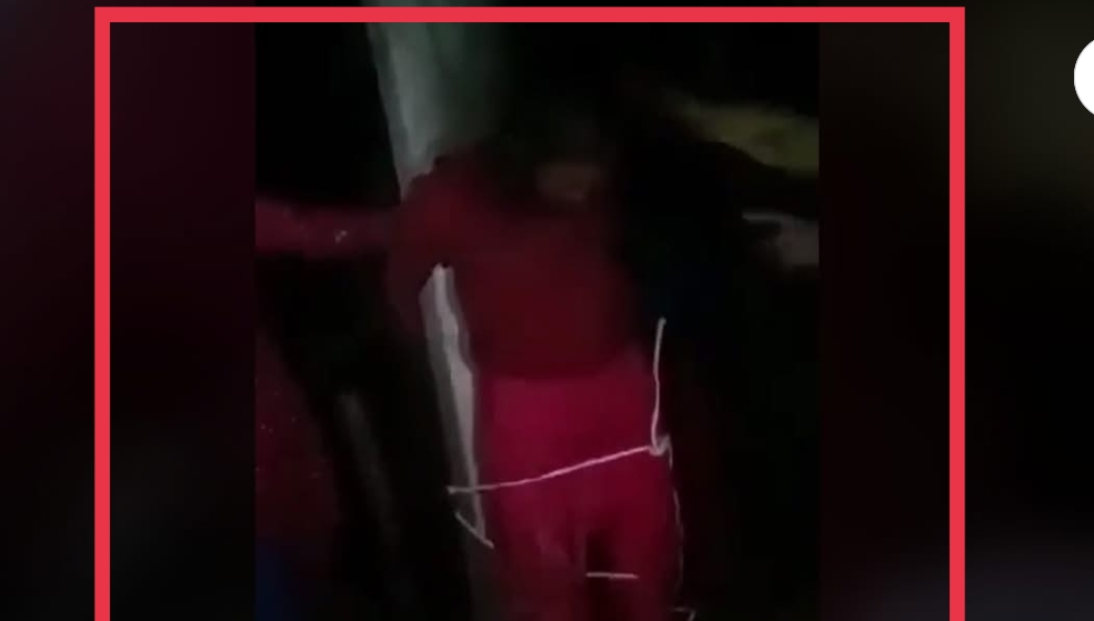 पोलमा बाधेर महिलालाई निर्घात कुटपिट