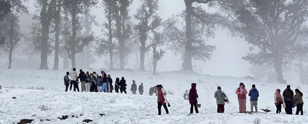 हिमपातका कारण रुकुमपूर्वको मध्यपहाडी लोकमार्गमा अलपत्र परेका यात्रुको उद्धार