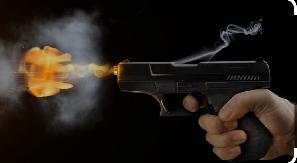 दुई थान भरुवा बन्दुक बरामद