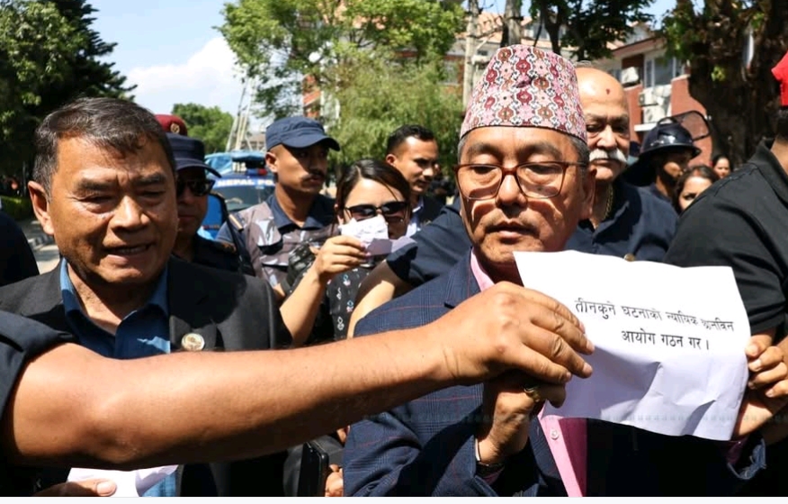 राजेन्द्र लिङ्देनसहित सात जना रिहा