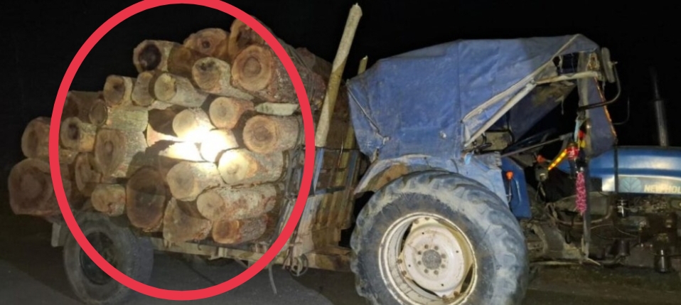 अवैधरुपमा काठ ल्याउँदै गरेको ट्याक्टरसहित दुईजना  पक्राउ