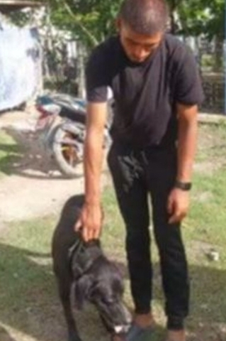 लागुऔषध ओसारपसारमा कुकुर प्रयोग