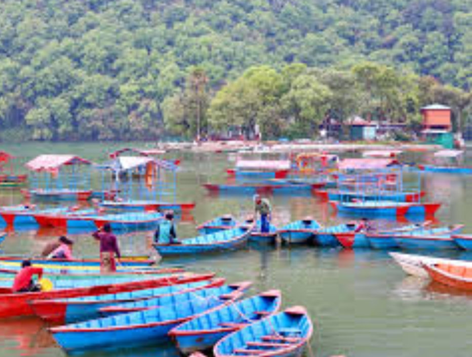 फेवातालमा फसेका ८ जनाको उद्धार