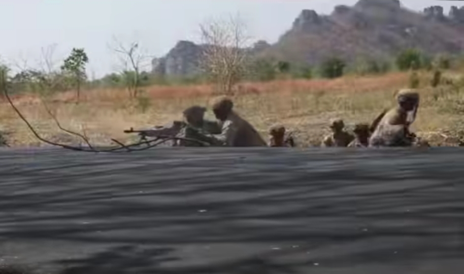 भारत–पाकिस्तान तनाव उत्कर्षमा पुग्यो