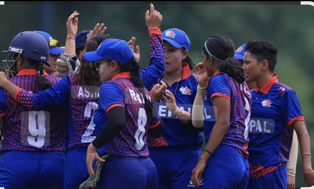 Websoft IT Nepal Pvt. Ltd.