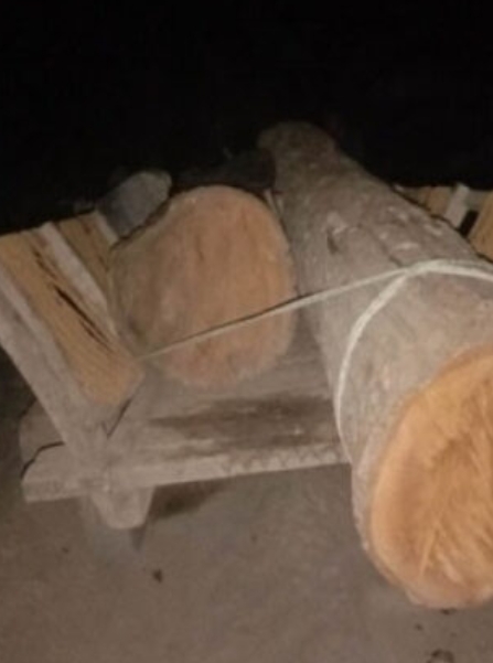 ट्रालीभित्र बालुवामा लुकाएर राखिएको सालको काठ तस्करी