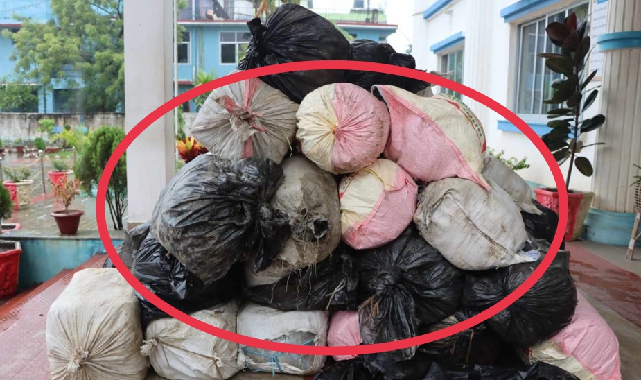 खोलाको बगरमा बालुवाले पुरिएको अवस्थामा ११२० किलो गाँजा बरामद