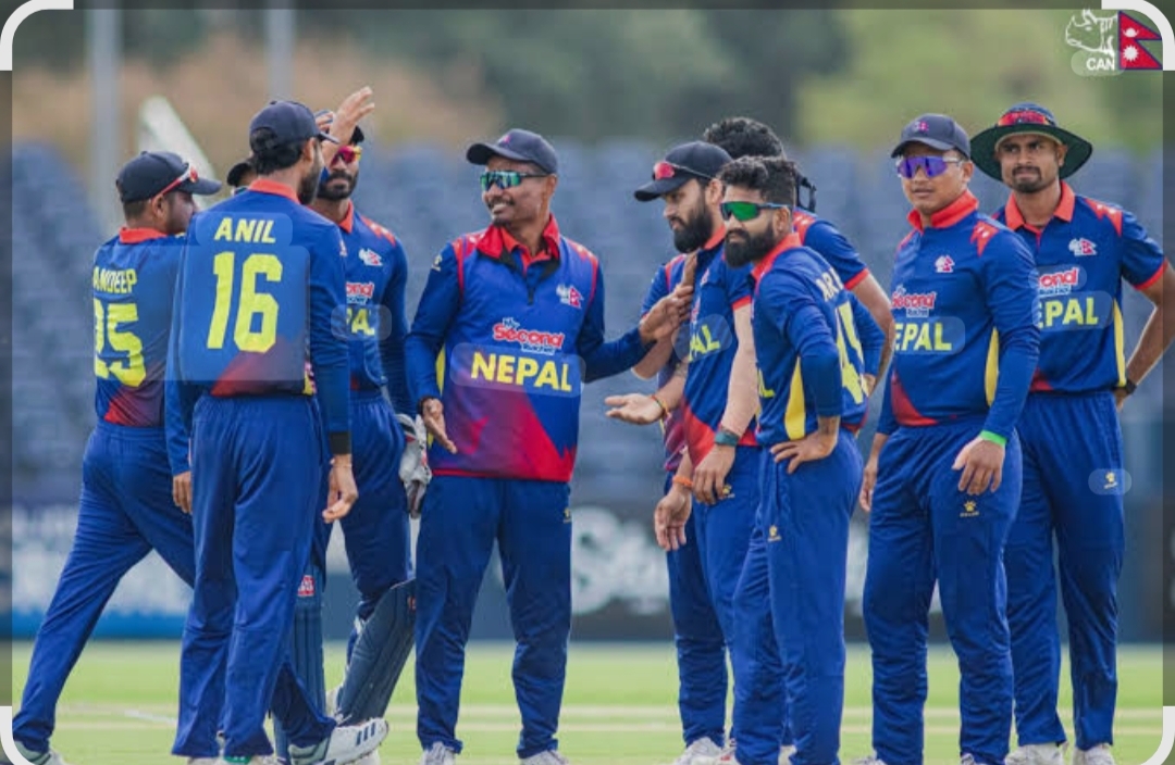 Websoft IT Nepal Pvt. Ltd.