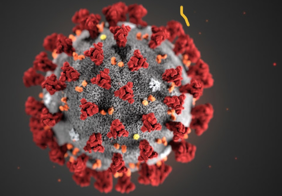 भारतसहित सुदूरपश्चिम प्रदेशमा कोभिड–१९ सङ्क्रमित फेला पर्न थालेपछि झापामा नाकामा कडाइ