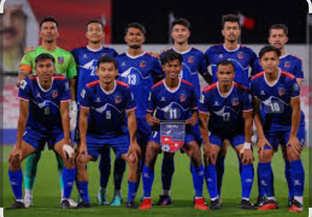 Websoft IT Nepal Pvt. Ltd.