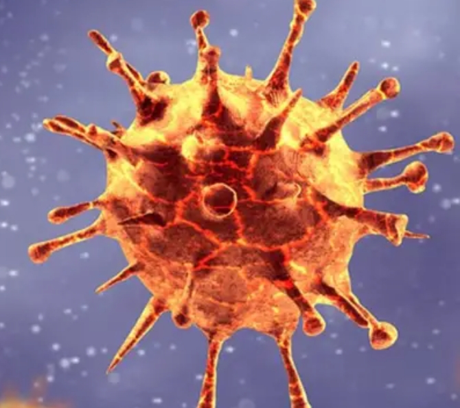 विर्तामोडमा एक जनामा कोरोना भाइरस संक्रमण पुष्टि