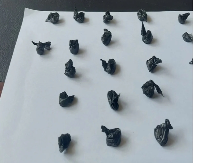 रोयल सिराहा गेष्ट हाउसबाट खैरो हिरोइनसहित एक जना पक्राउ