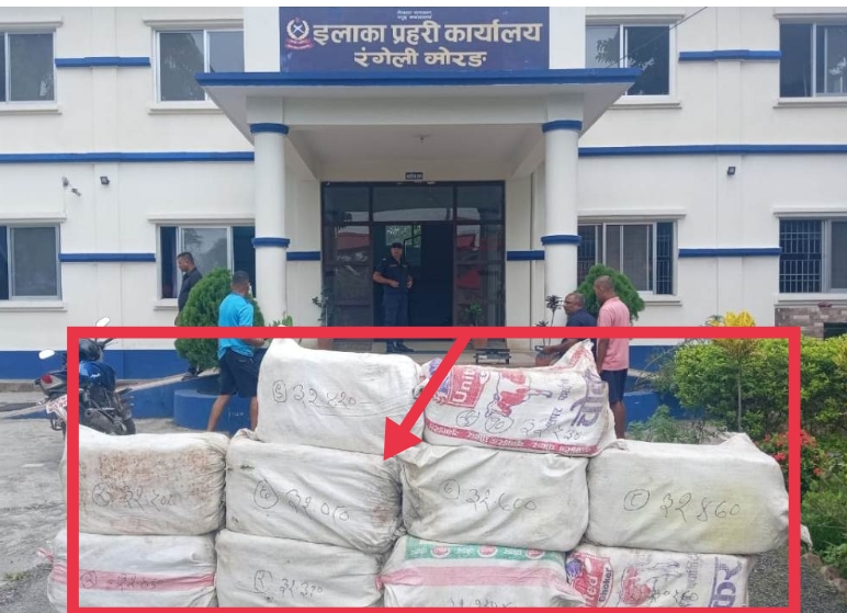 ३ सय २३ किलो गाँजा बरामद