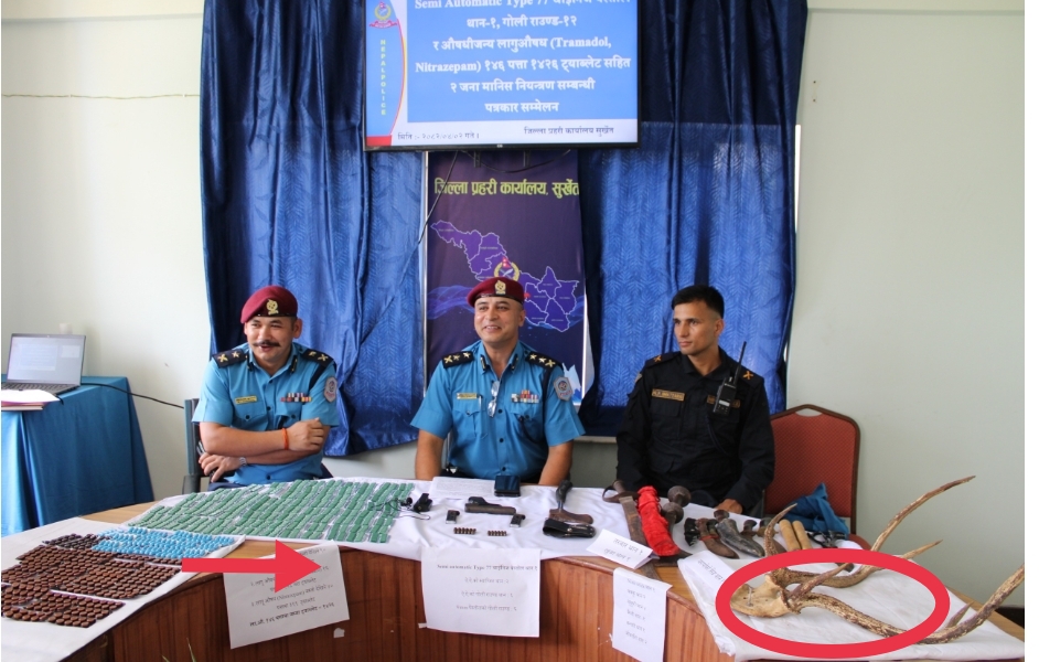 सुर्खेतमा हतियार र लागुऔषधसहित दुईजना पक्राउ