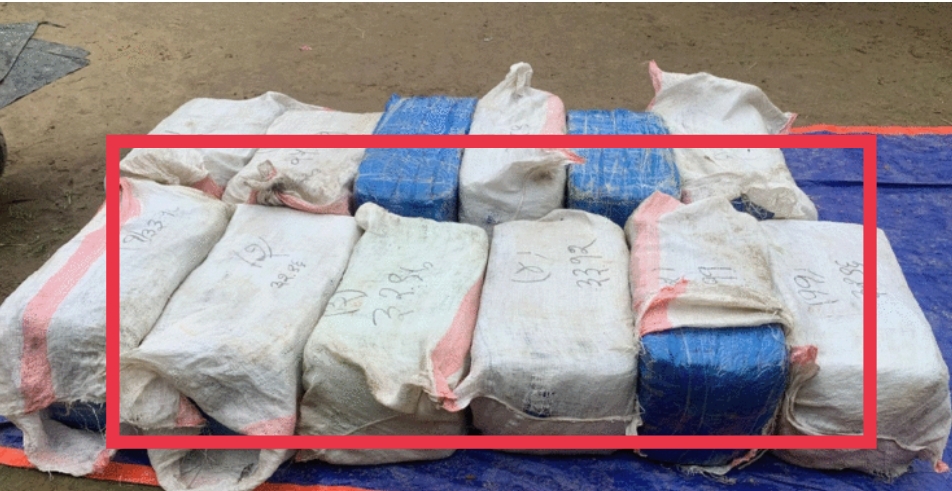 ३८९ किलो गाँजा बरामद