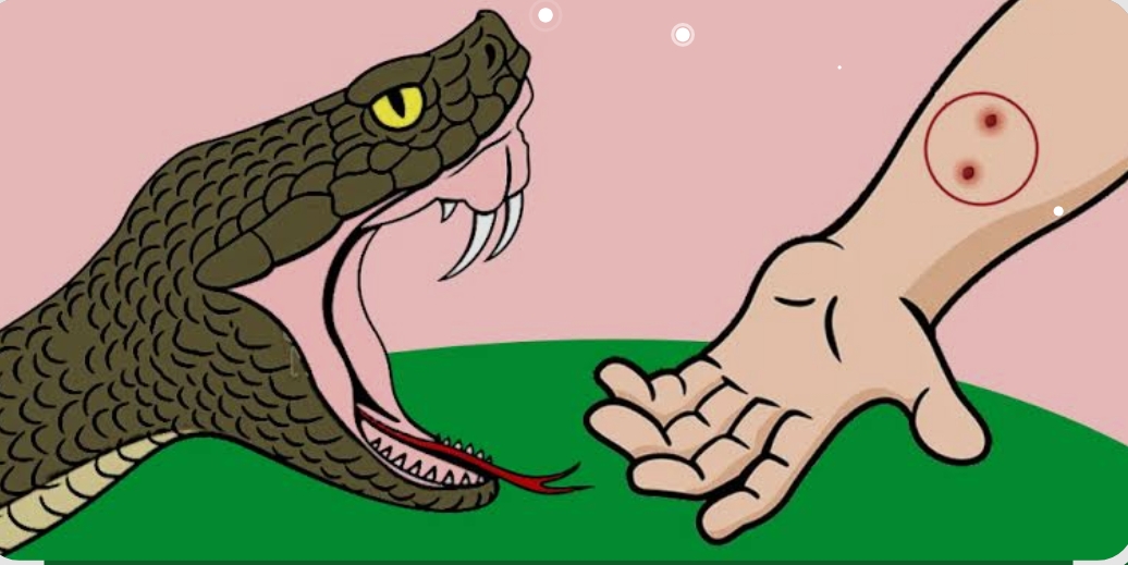 गोठमा सर्पले डसेर एक महिलाको मृत्यु