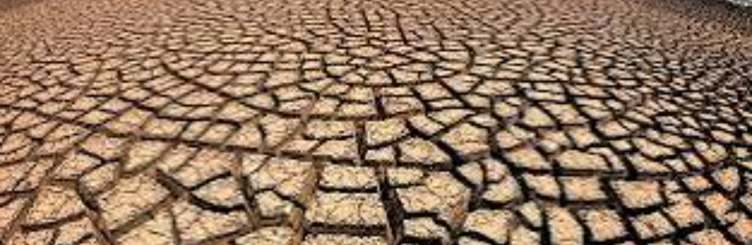 समयमै वर्षा नभएपछि मधेस प्रदेशका किसानहरूले चरम खडेरी र सुख्खाको चपेटामा