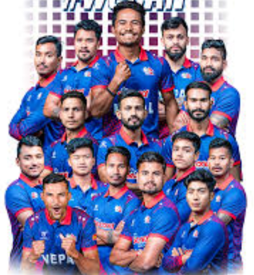 Websoft IT Nepal Pvt. Ltd.