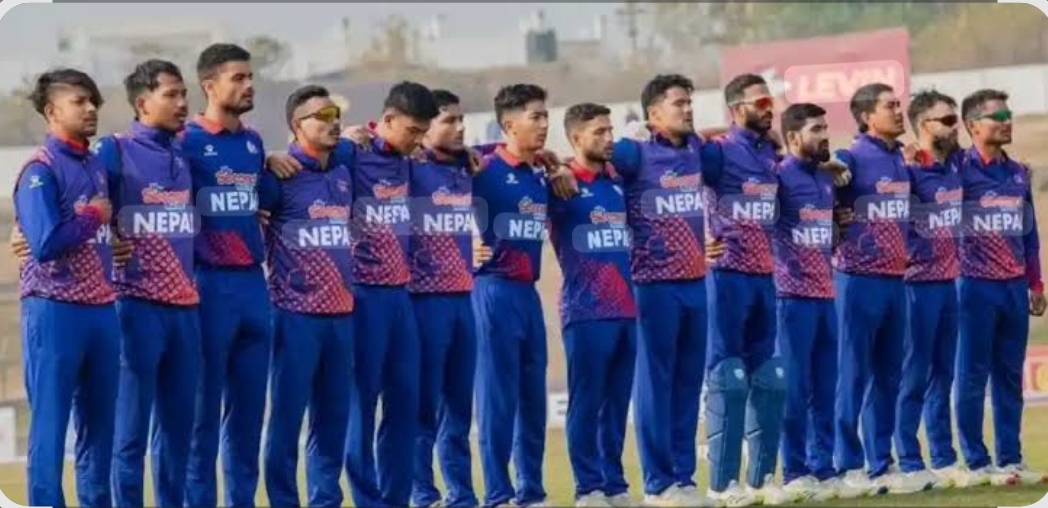 Websoft IT Nepal Pvt. Ltd.