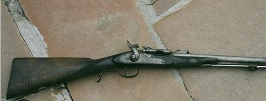 एक नाल भरुवा बन्दुक बरामद