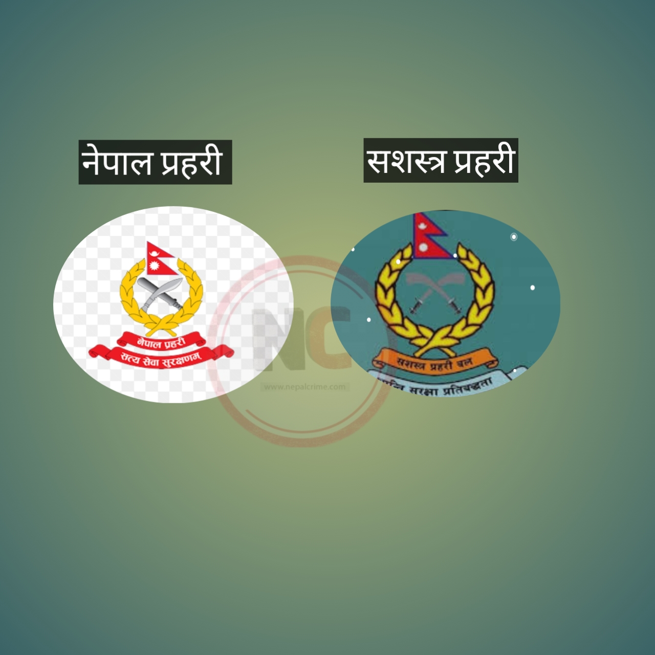 जेनजी आन्दोलनपछि संसद विघटन हुँदा