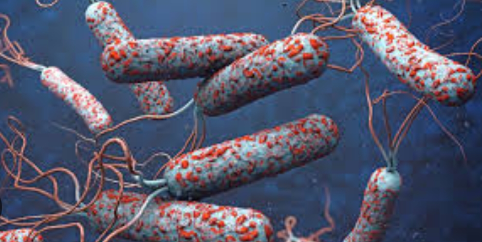 वीरगन्जमा झाडा–पखाला संक्रमितको संख्या पुन बढ्दै