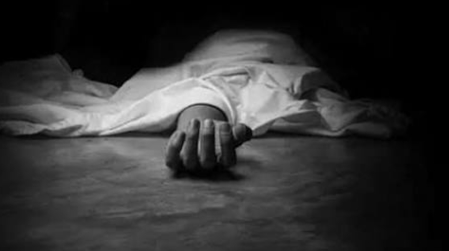 Websoft IT Nepal Pvt. Ltd.