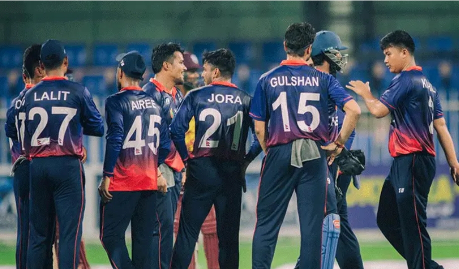 Websoft IT Nepal Pvt. Ltd.