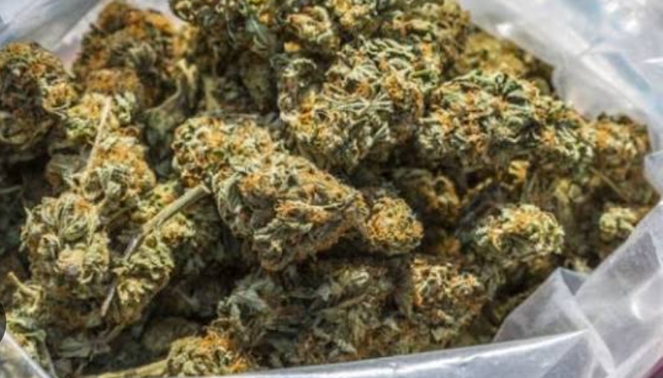 सिरहाबाट ठूलो परिमाणमा लागुऔषध गाँजा बरामद