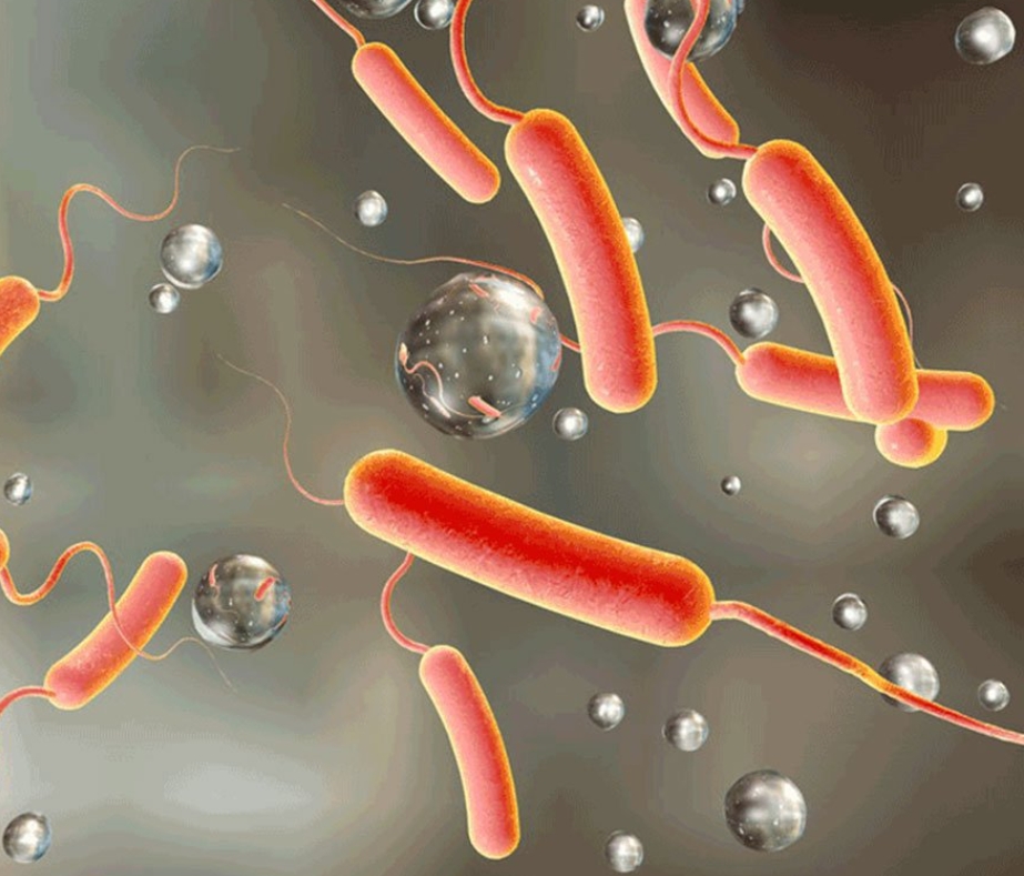 पर्साका १४ वटै स्थानीय तहमा सोमबारदेखि हैजाविरुद्धको खोप अभियान सञ्चालन