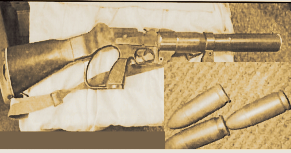 गन र गोलीसहित पक्राउ